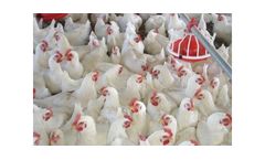 Facco - Poultry Floor Management Systems