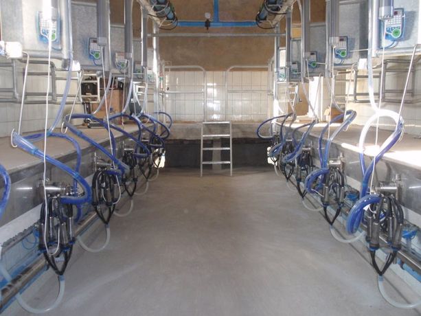 Dutchlac - Herringbone Milking Systems