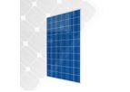 Cinco Solar - Model 60cell 156*156 - Polycrystalline Solar Panel