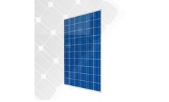Cinco Solar - Model 72cell 156*156 - Polycrystalline Solar Panel