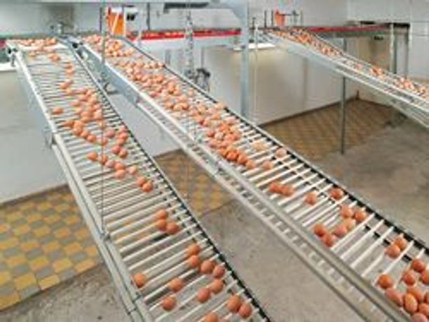 Lubing - Rod Conveyor for Egg Collection