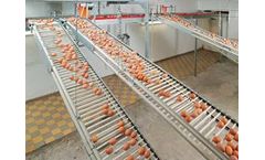 Lubing - Rod Conveyor for Egg Collection