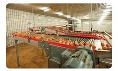 Lubing - Curve Conveyors for Egg Transport