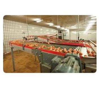 Lubing - Curve Conveyors for Egg Transport