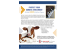 Convert - Direct-Fed Microbials Powder for Healthy Calves Brochure