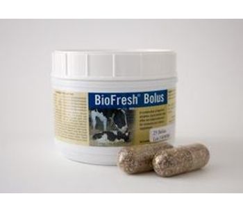 Biofresh - Animal Supplement Bolus