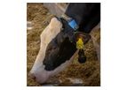 Allflex SenseHub - Model Dairy - Modular Cow Monitoring System