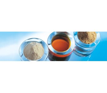 BergaFat - Model CLA - Conjugated Linoleic Acid Powder with High Digestibility