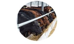 Environmental Control Solutions for Beef