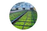 Environmental Control Solutions for Greenhouse - Agriculture - Horticulture