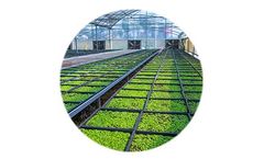 Environmental Control Solutions for Greenhouse