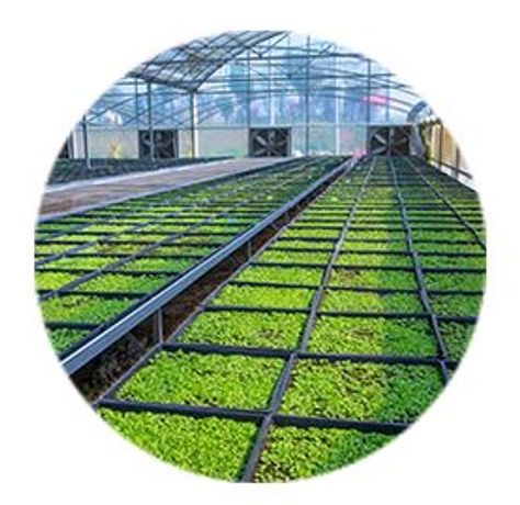 Environmental Control Solutions for Greenhouse - Agriculture - Horticulture