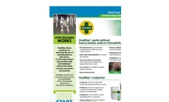 HealMax - Footbath Concentrate Brochure