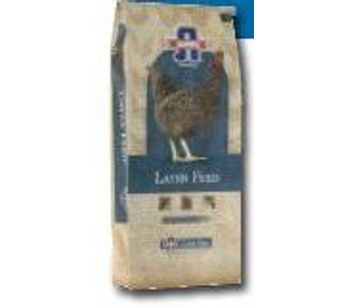 Albers - Laying Hens Complete Ration - Hi Lay 16%
