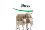 Sheep Animal Health Range Brochure