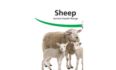 Sheep Animal Health Range Brochure