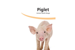 Piglet Animal Health Range Brochure