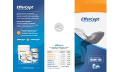 EfferCept - Brochure