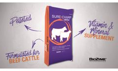 Sure Champ Cattle Product Video