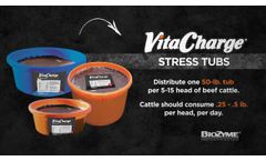 Vita Charge Stress Tubs - Video