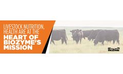 Livestock Nutrition is at the Heart of BioZyme’s Mission