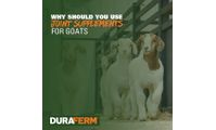 Why Should You Use Joint Supplements for Goats