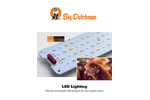 LED Lighting - Brochure