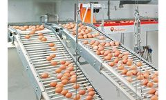 Rod Conveyors for Egg Collection