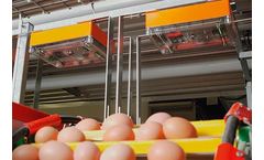 EggCam - Poultry Egg Counting System