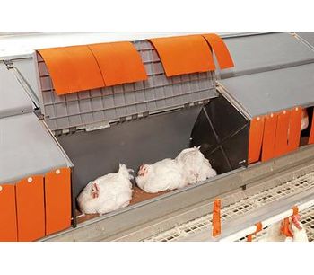 Nesca - Poultry Scale for Broiler Breeders