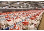 ReproMatic - Feeding System for Broiler Breeders