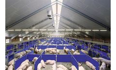Call-Inn pro & CallMatic pro - Electronic Feeding Systems for Sows in Group Housing