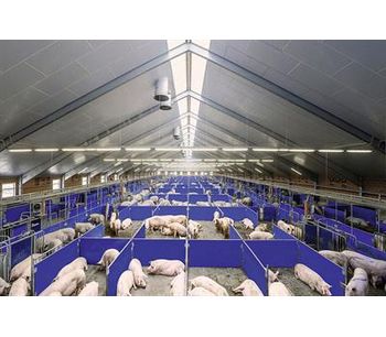 Call-Inn pro & CallMatic pro - Electronic Feeding Systems for Sows in Group Housing