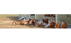 NATURA - Model Camp II - Mobile Poultry Housing System