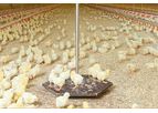Swing - Model 20 - Poultry Scale