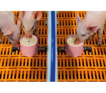 CulinaCup - Suckling Pig Feeding Systems