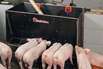 MultiMax - For Piglet Rearing