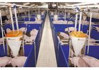 Housing Equipment for Modern Piglet Rearing and Finishing