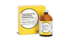 Ingelvac - Model ATP - Porcine Reproductive and Respiratory Syndrome Vaccine (PRRS)