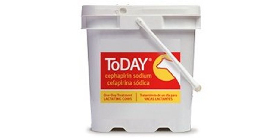 Today - Cephapirin Sodium