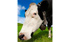 DVM TempTrack - Automatic Livestock Health Monitoring Systems
