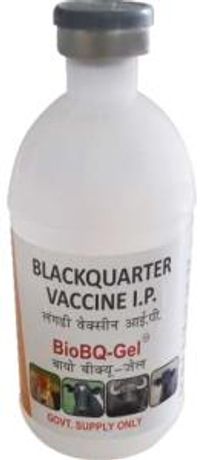 Biovet - Model BioBQ - Black Quarter Disease Prevention Vaccine for Livestock
