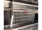 Quad Deck - Pullet Cage System