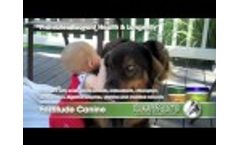 KAH Fortitude Canine 3 Video