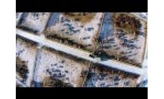 Rumen Protozoa Comparison - 100X Magnification - Video