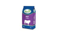 Brett - Model Euro - High-Protein Beef Cubes for Store Cattle