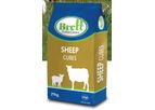 Brett - Model EWE - Supreme Sheep Cubes
