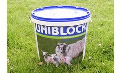 Uniblock - Sheep Mineral