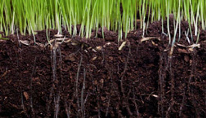 Culbac - All-Natural Biostimulant for Improved Seedling Vigor