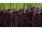 Culbac - All-Natural Biostimulant for Improved Seedling Vigor
